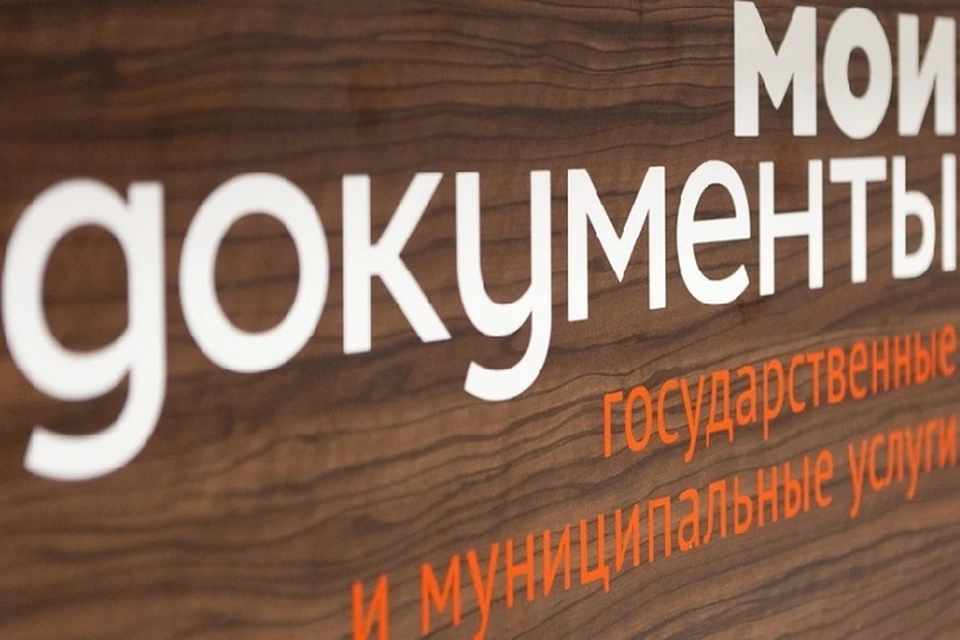 По номеру 119 можно получить консультацию от сотрудников МФЦ. Фото: МФЦ ЛНР