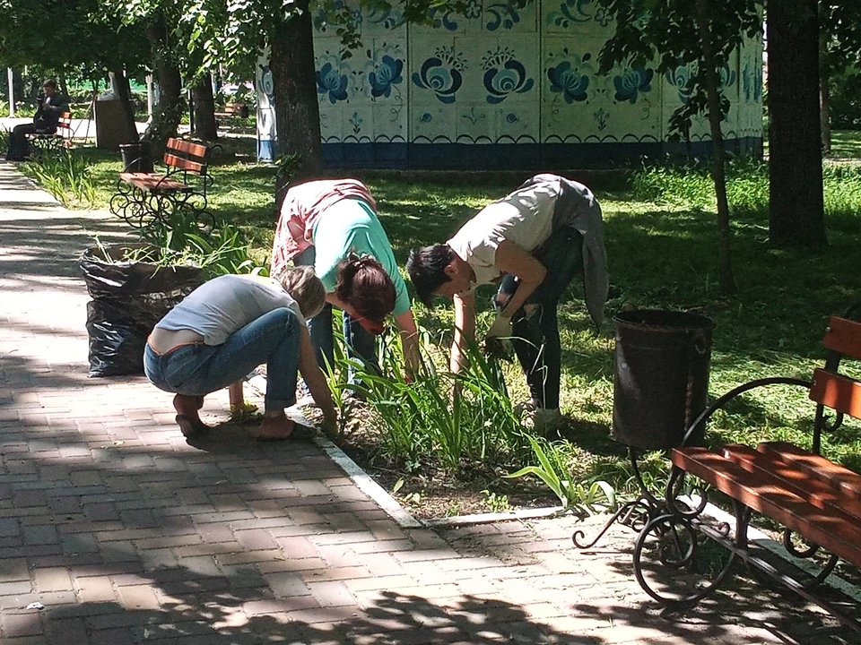 В областном центре продолжается озеленение