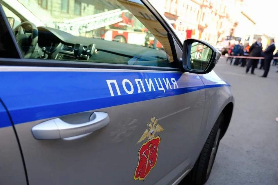 Полиция проверяет, по какой причине под окнами многоэтажки в Петербурге нашли тело искалеченной девушки.