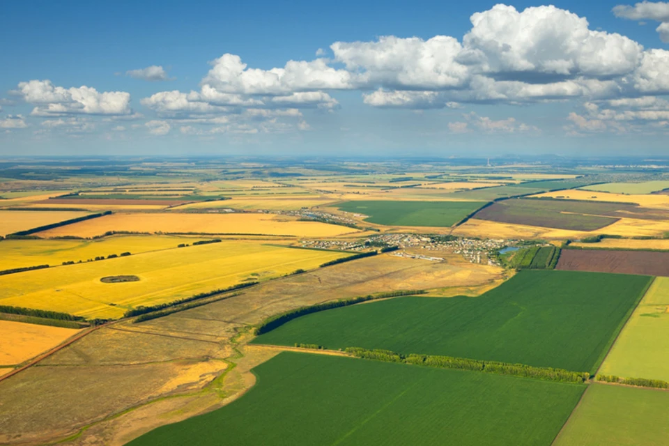 Фото предоставлено рекламодателем