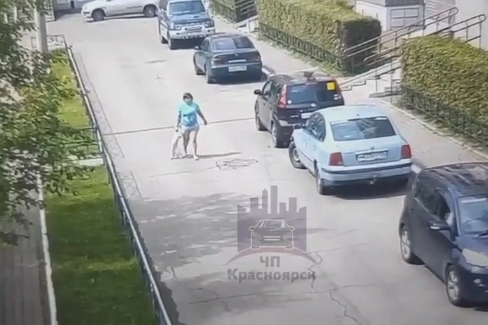 В Красноярске ищут женщину, тащившую за лапу кота. Стоп-кадр видео