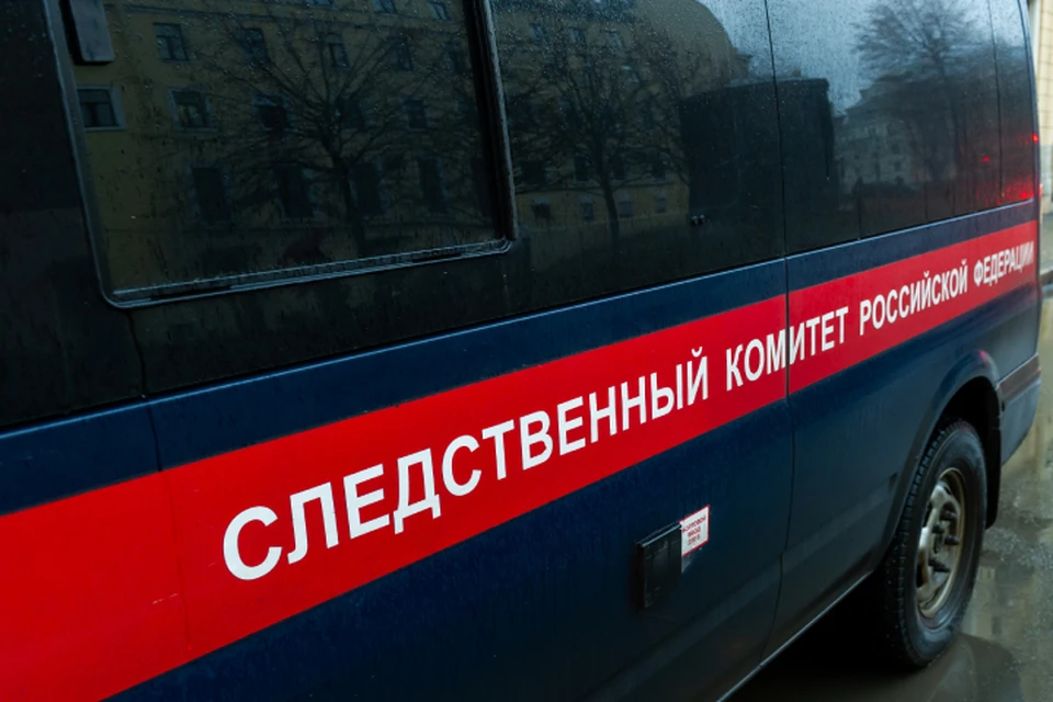 Сейчас устанавливаются все обстоятельства трагедии.