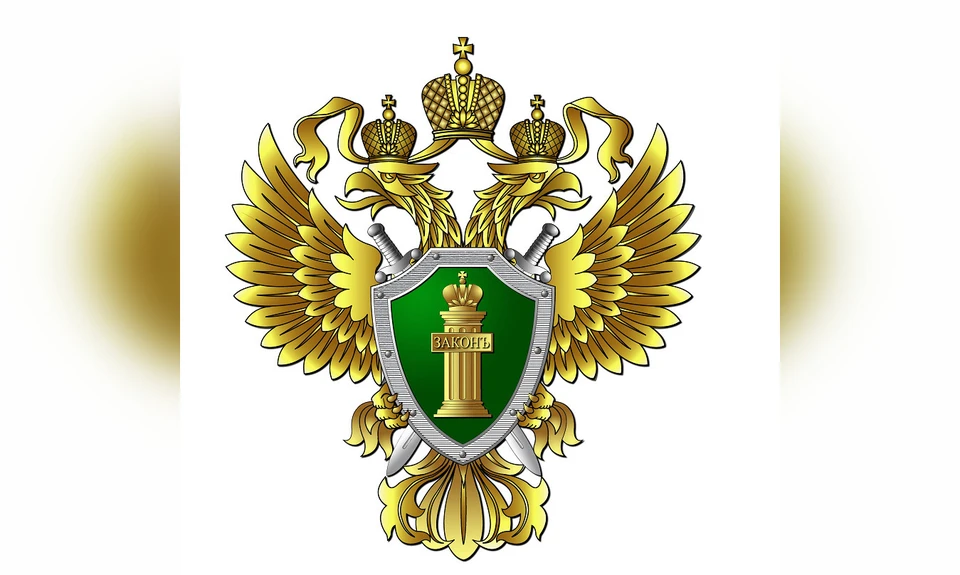 Прокурор дал всем обратившимся необходимые разъяснения / Фото: gvp.gov.ru