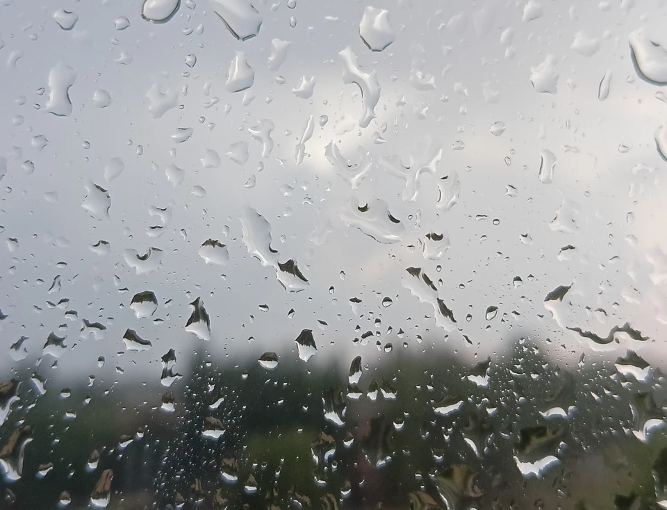 Жителей Волгоградской области предупредили о надвигающихся ливнях с грозами