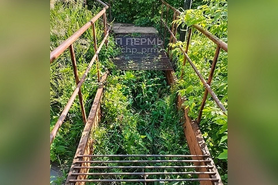 Фото: ЧП ДТП Пермь / Telegram