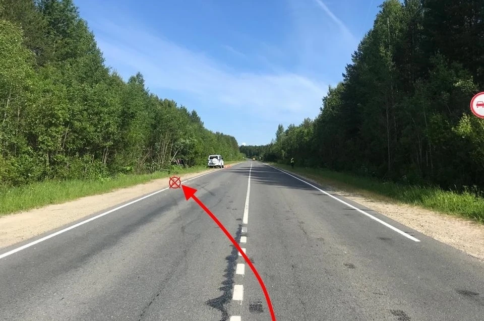 Фото: управление ГИБДД по Коми