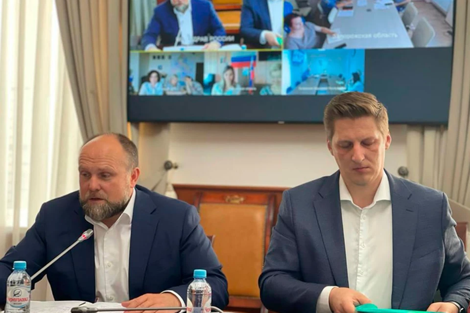 Члены сформированной группы займутся разработкой предложений по улучшению медпомощи. ФОТО: телеграм-канал Запорожской областной администрации
