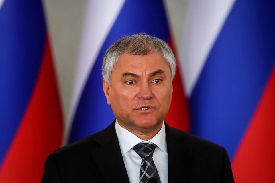 Володин предложил ввести "уголовку" за использование пальмового масла в продуктах