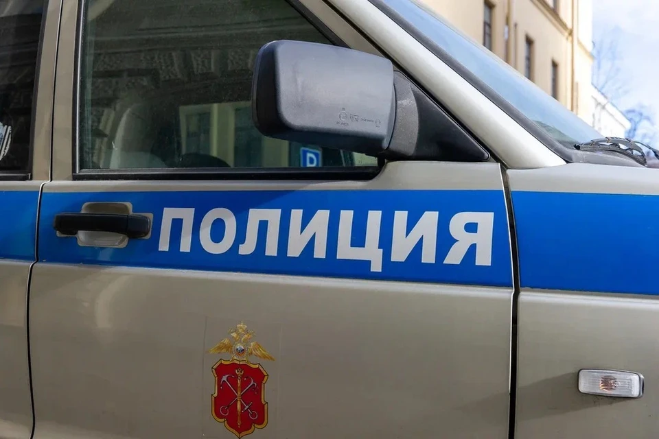 Двое подростков с газовым пистолетом напали на прохожих в Петербурге.