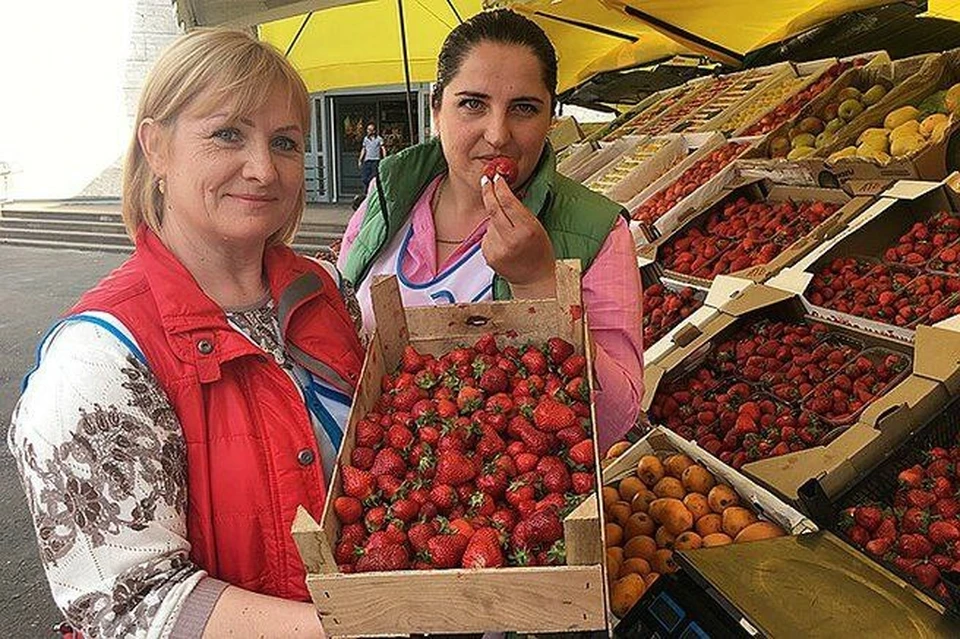 Херсонская клубника отличается высоким качеством