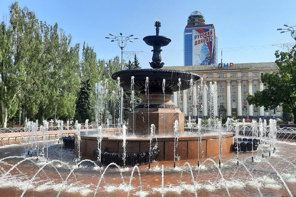 В ДНР лесные хозяйства остаются открытыми для посещения, несмотря на жаркую погоду