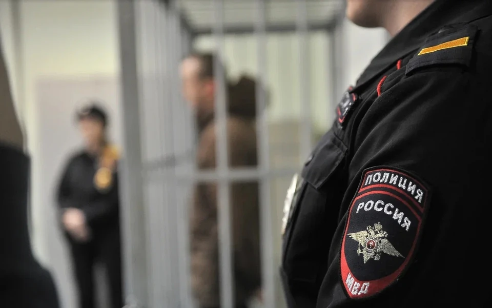 Преступника приговорили к семи годам колонии строгого режима