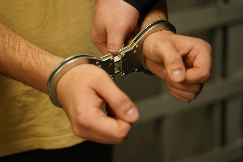 Пятерых участников группы поместили под стражу.