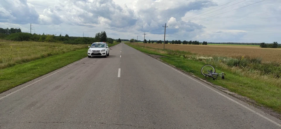 Велосипедист выехал на дорогу
