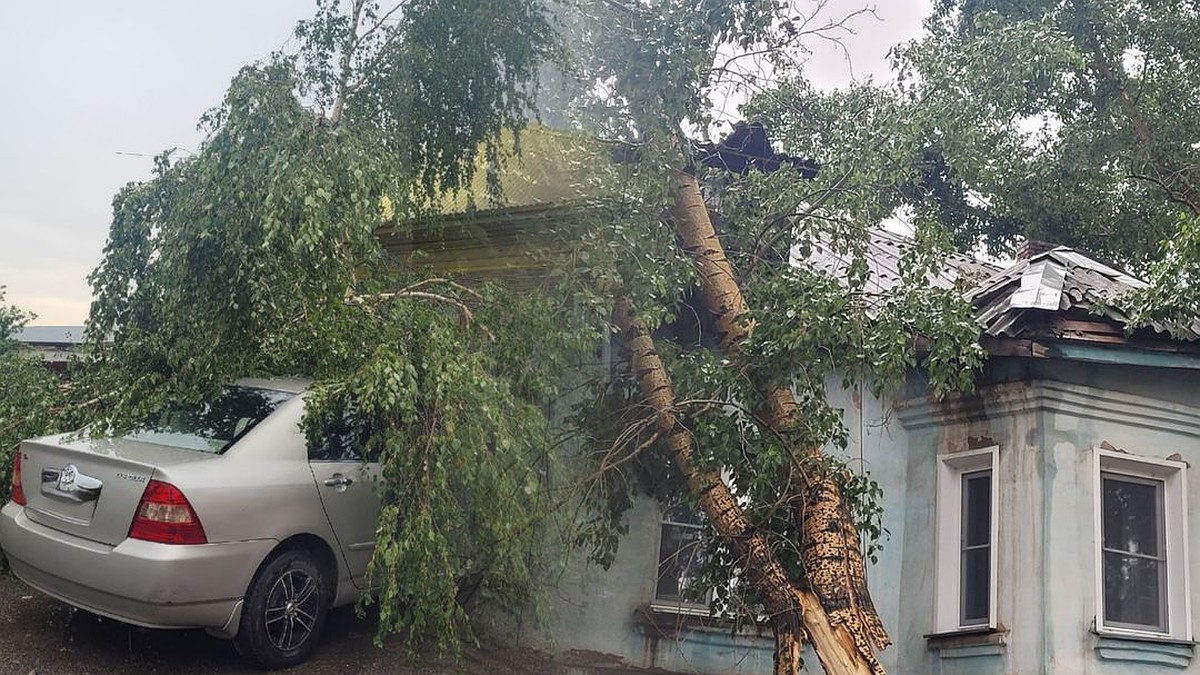 «Света нет у половины города»: под Новосибирском деревья, сваленные мощным  ураганом, крушили дома и перекрывали целые улицы - KP.RU