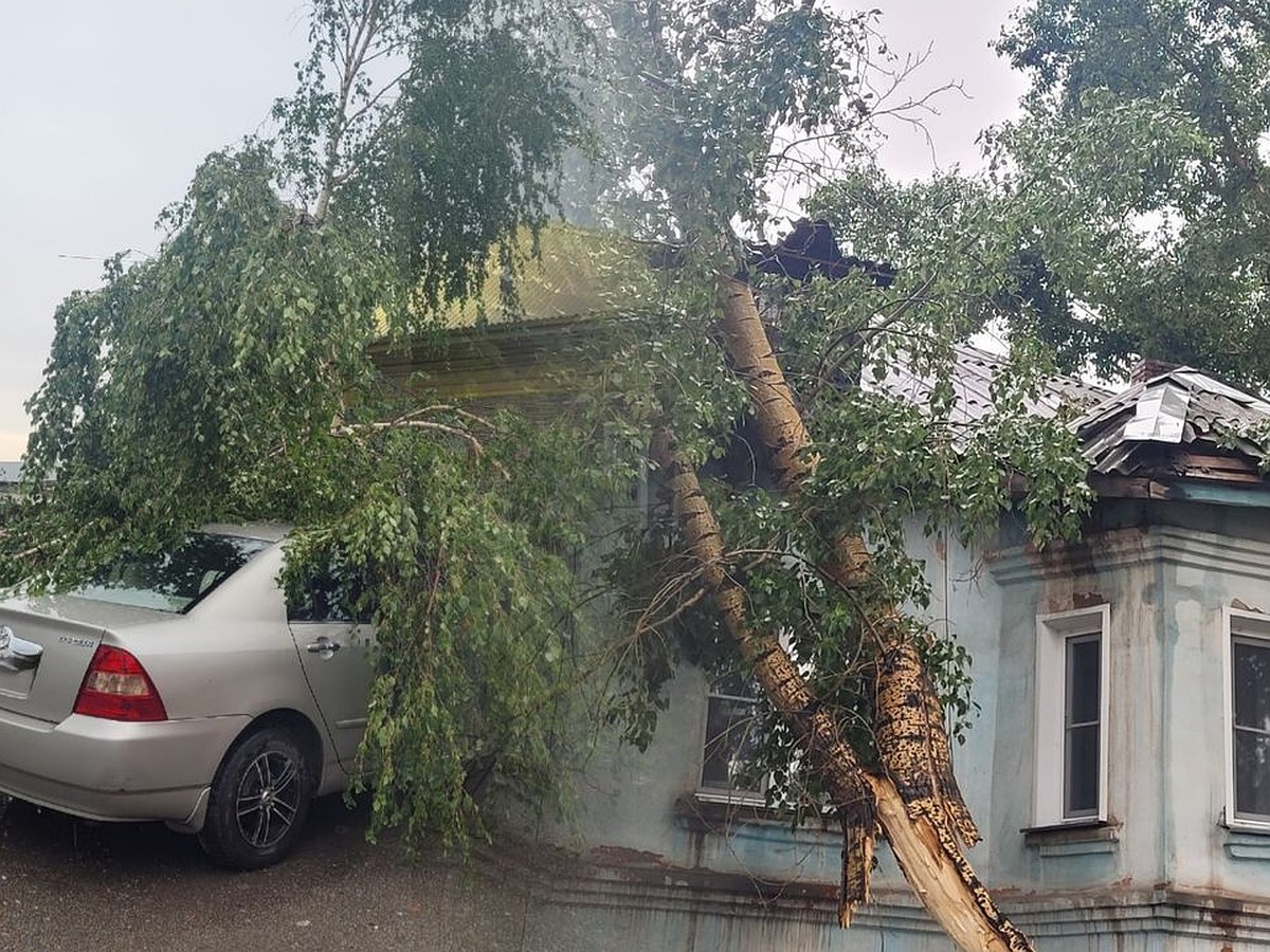 Света нет у половины города»: под Новосибирском деревья, сваленные мощным  ураганом, крушили дома и перекрывали целые улицы - KP.RU