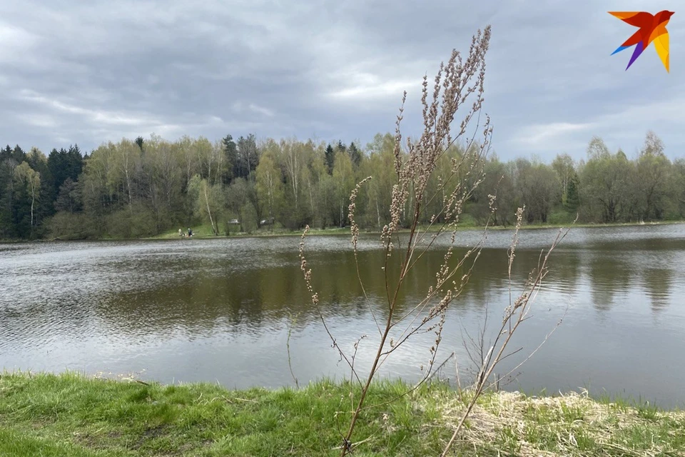 В Гродно пьяный студент-первокурсник чуть не утонул в Немане. Снимок носит иллюстративный характер. Фото: архив «КП»