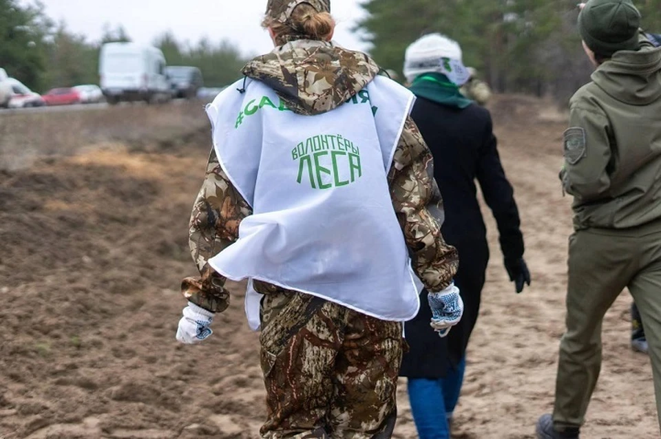 Отделение движения "Волонтеры леса" открылось в ЛНР. Фото - администрация Старобельского района