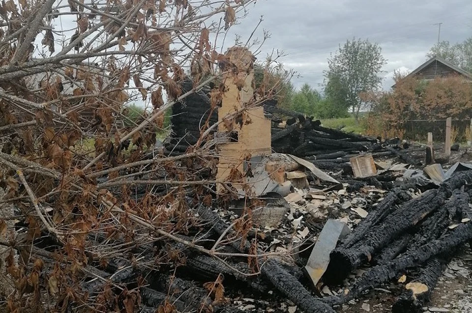 Деревня Савковская: дома отстояли больше века. И вдруг - фумигатор.