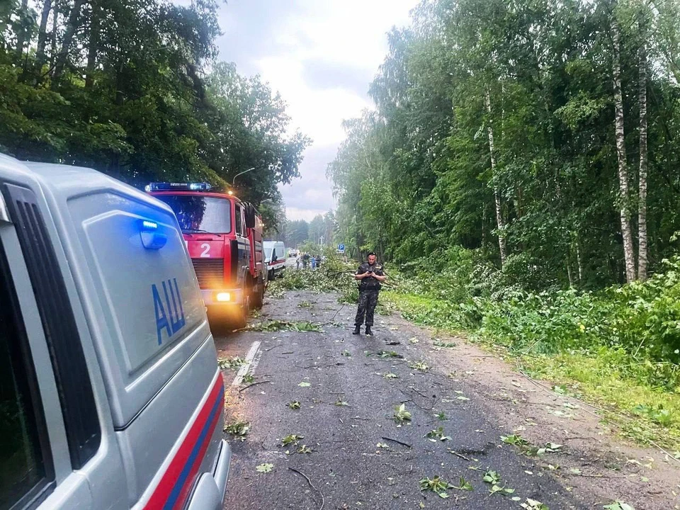 Новости сегодня фото