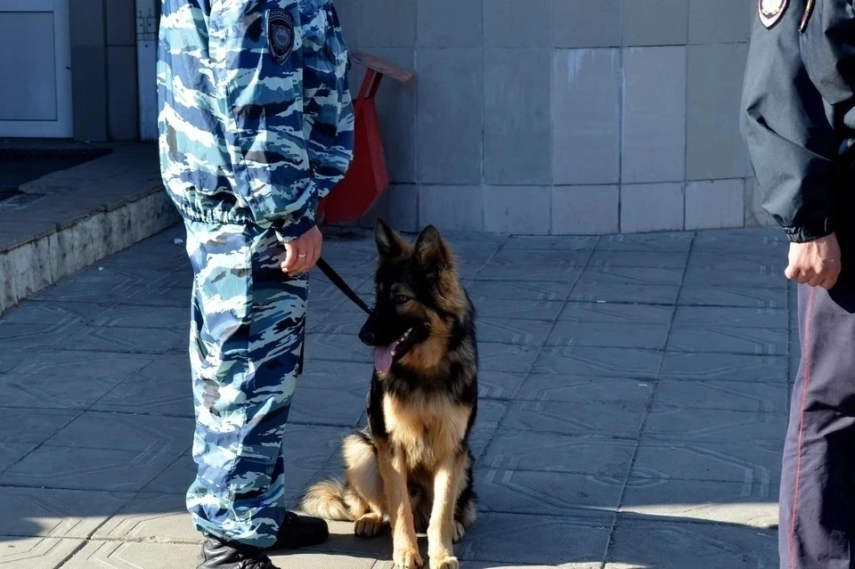 В Липецке сообщения о минировании получили два ТЦ и административные учреждения