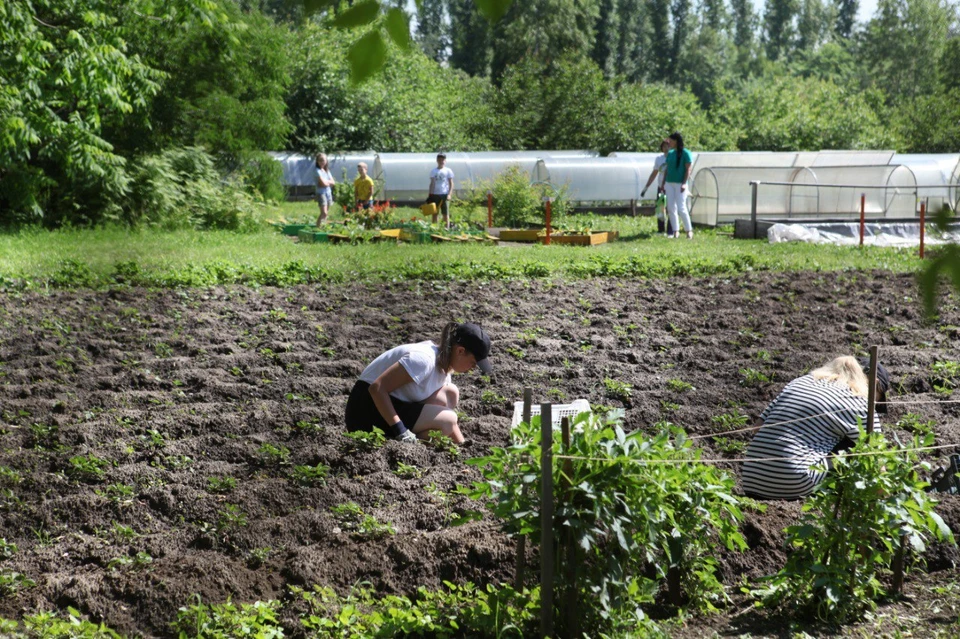 Больше 2000 подростков временно трудоустроят в Иркутске в текущем году