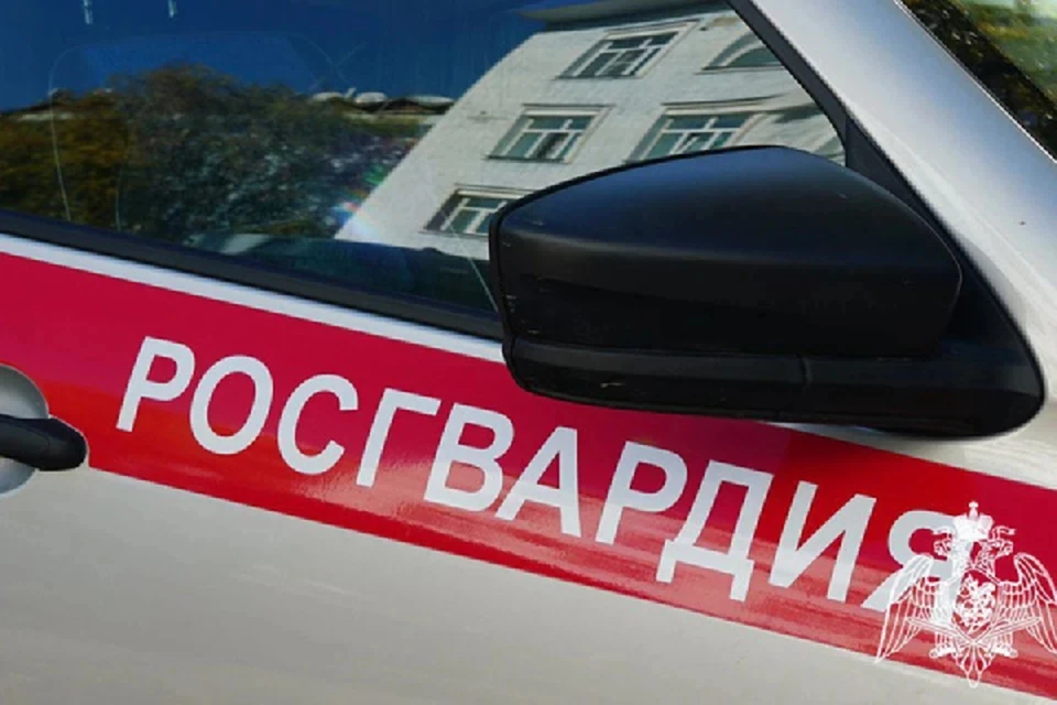 Потерпевших опросили росгвардейцы, а разбираться будет полиция. Фото: Росгвардия Кировской области