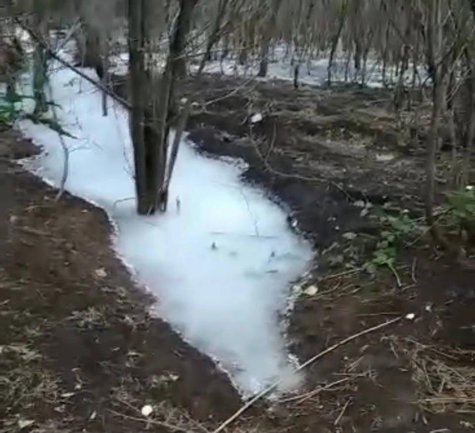 ФОТО: скриншот видео Минэкологии Татарстана