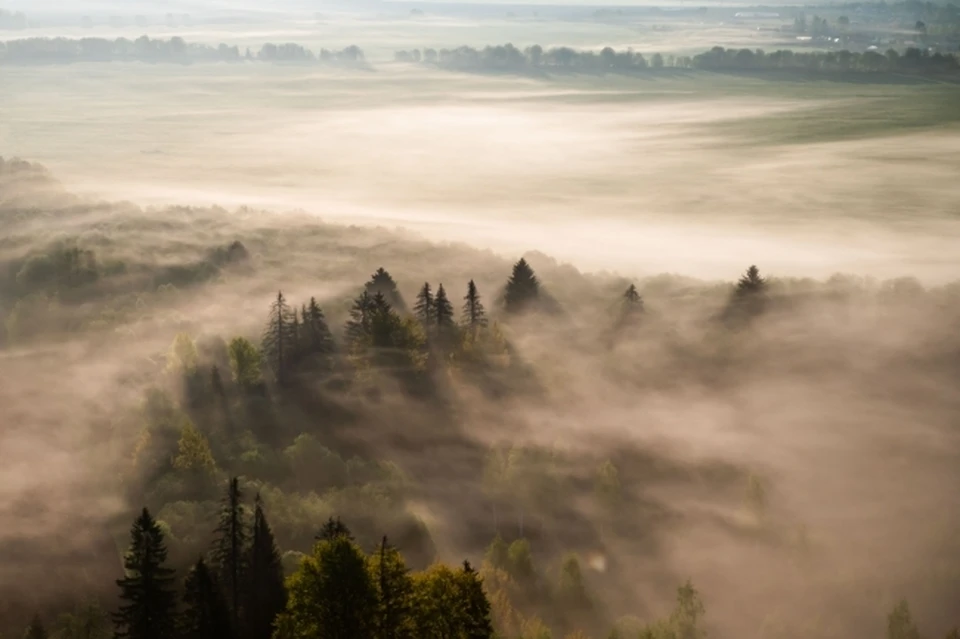 Фото: архив КП