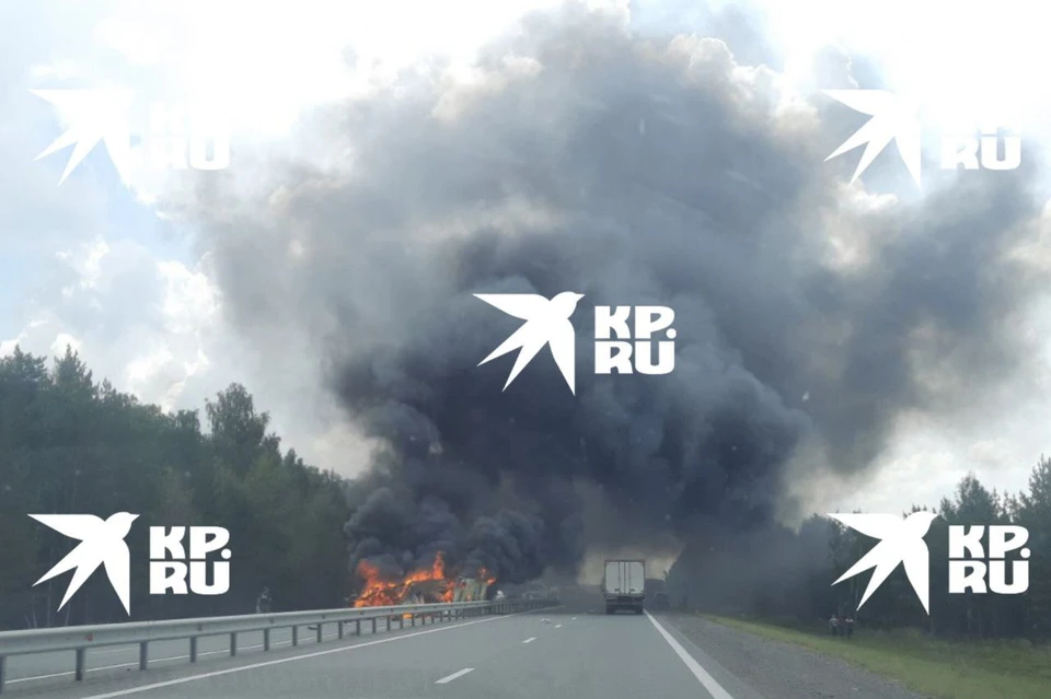 Фото: Агентство чрезвычайных новостей