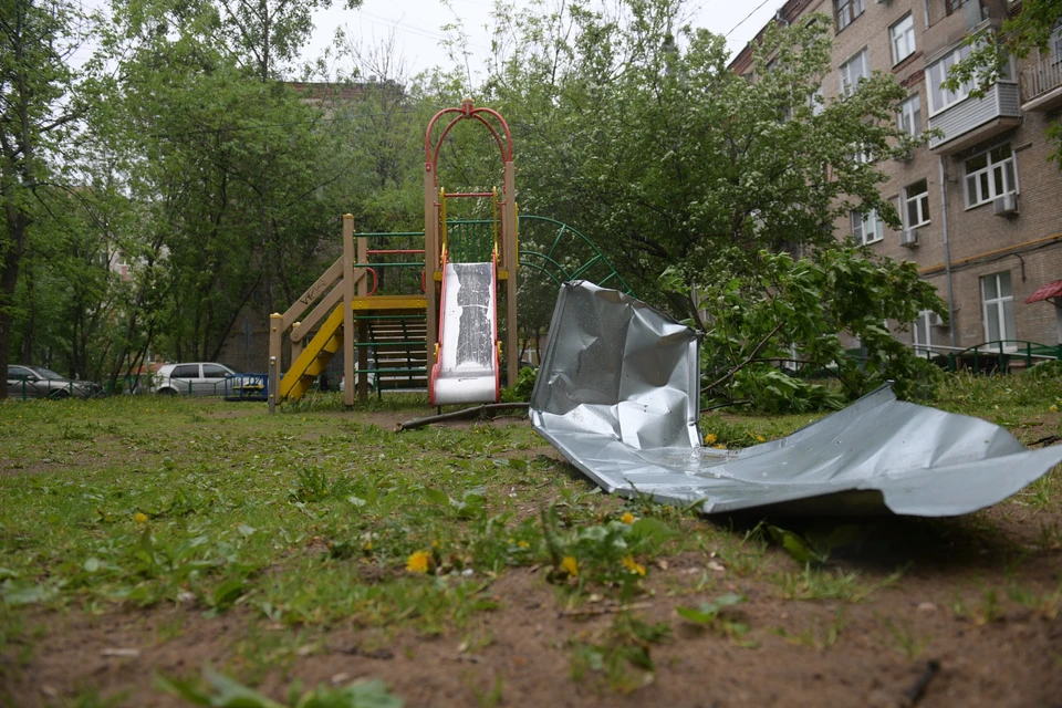 Порывы ветра доходят до 20 м/с. Фото: архив "КП"