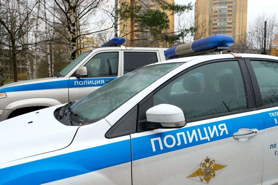 Полицейские задержали хулигана.