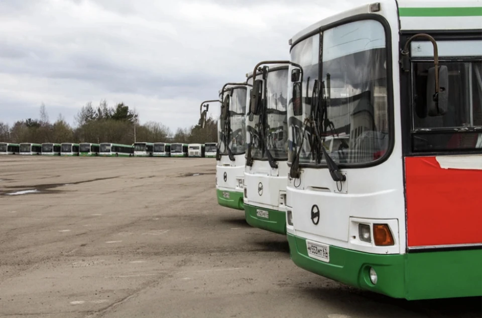 28 новых автобусов готовят к выходу на улицы Смоленска. Фото: пресс-служба администрации города.