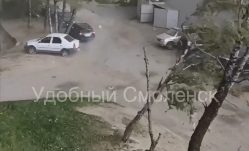 Дерево упало на ребенка во время сильного урагана в Смоленске. Фото: «Подслушано Смоленск» ВКонтакте.