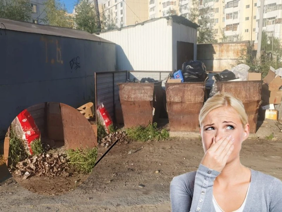 Коллаж KP.RU