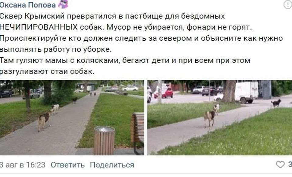 У местной жительницы и городских чиновников разное мнение о нынешнем состоянии Крымского сквера.