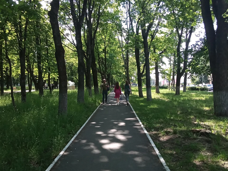На городских площадках пройдут культурные мероприятия