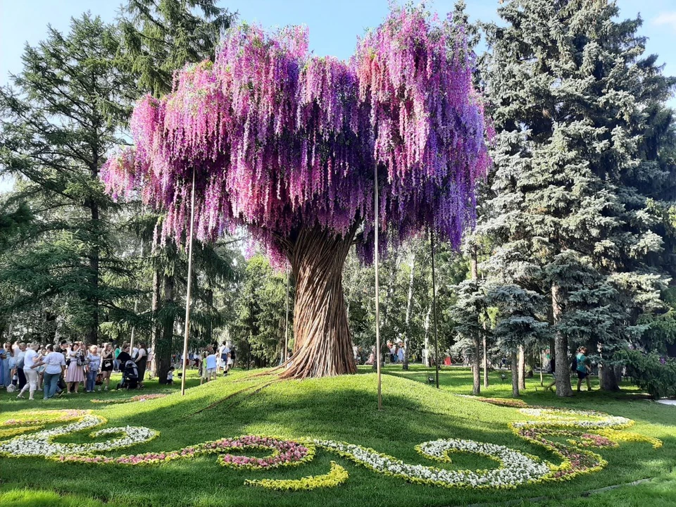 Флора Омск Фото