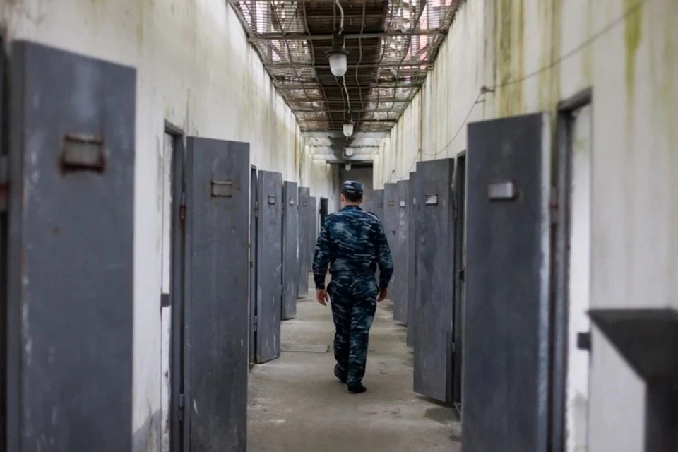 Отбывать срок он будет в исправительной колонии строгого режима