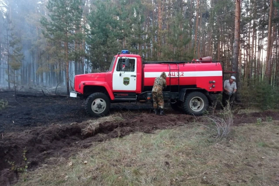 Из-за сильного ветра огонь перекинулся на территорию нацпарка. Фото: страница Бузулукского бора.