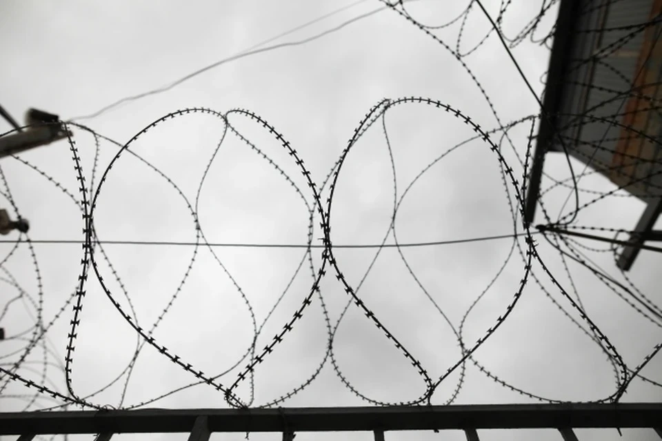 После освобождения его ждет 9 месяцев ограничения свободы