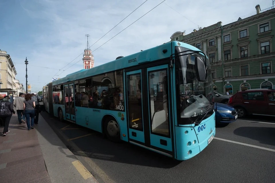 На дороги Петербурга вернули 137 лазурных автобусов МАЗ.