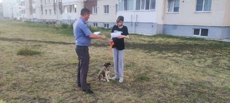 По итогам рейда с владельцами собак проведена разъяснительная беседа о требованиях законодательства при выгуле собак. ФОТО: тг-канал Агентства по ветеринарии УО