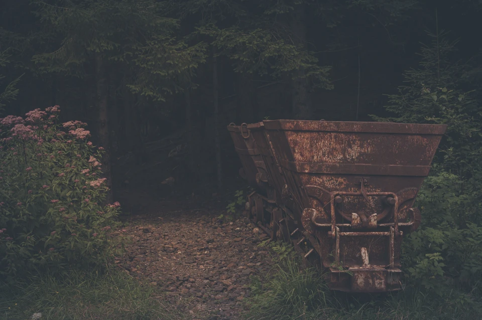 Фото - Unsplash.com