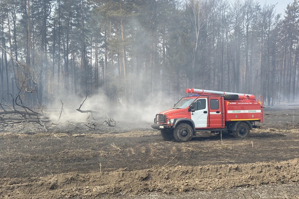 Фото предоставлено КП