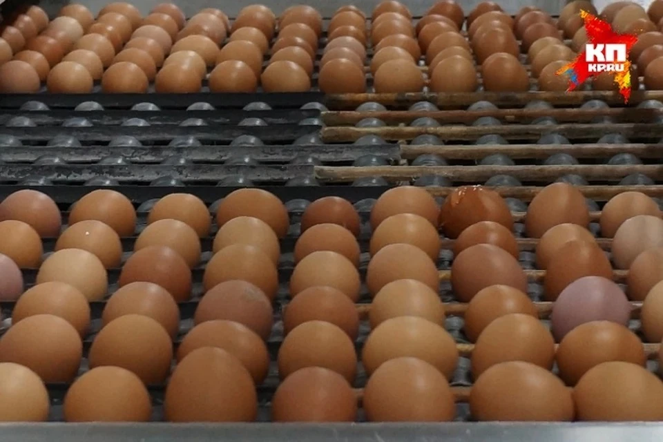 Куриные яйца - не простой продукт, они делают человека добрее.