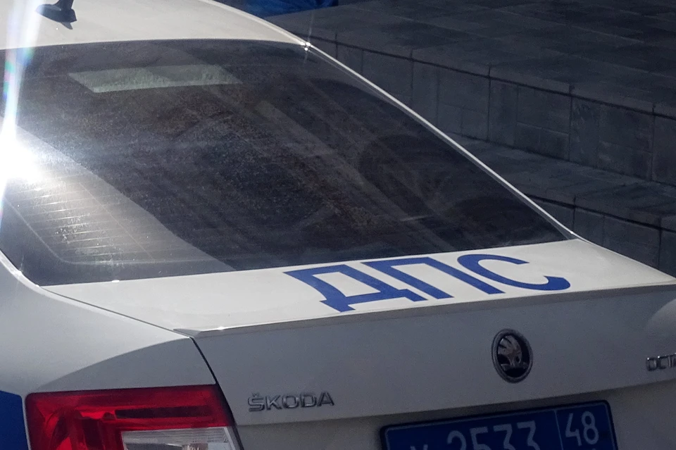 Фура с живыми свиньями перевернулась на Лебедянском шоссе под Липецком