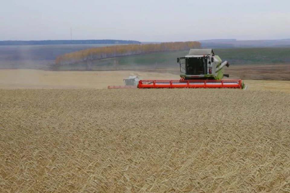 В Иркутской области ведется уборка зерновых культур