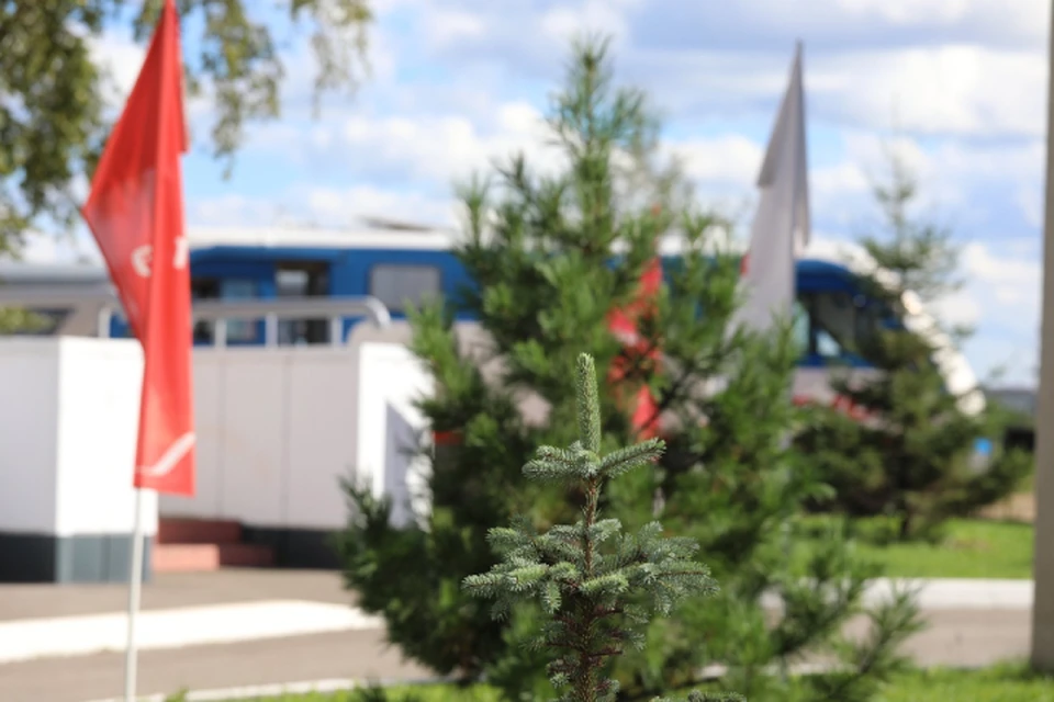 Более 300 деревьев и кустарников высадили на детской железной дороге в Иркутске. Фото: Восточно-Сибирская ЖД.