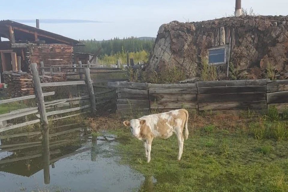 В селах Оймякон и Сордоннох Оймяконского района произошел паводок. Фото: «Северная заря».